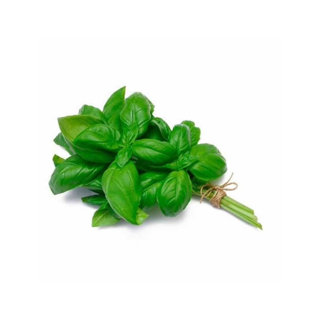 Albahaca