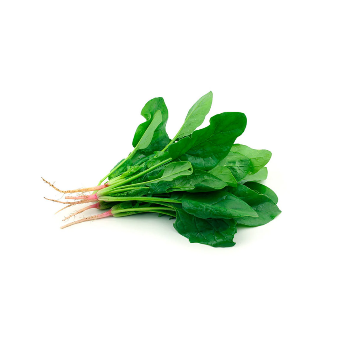 Espinaca