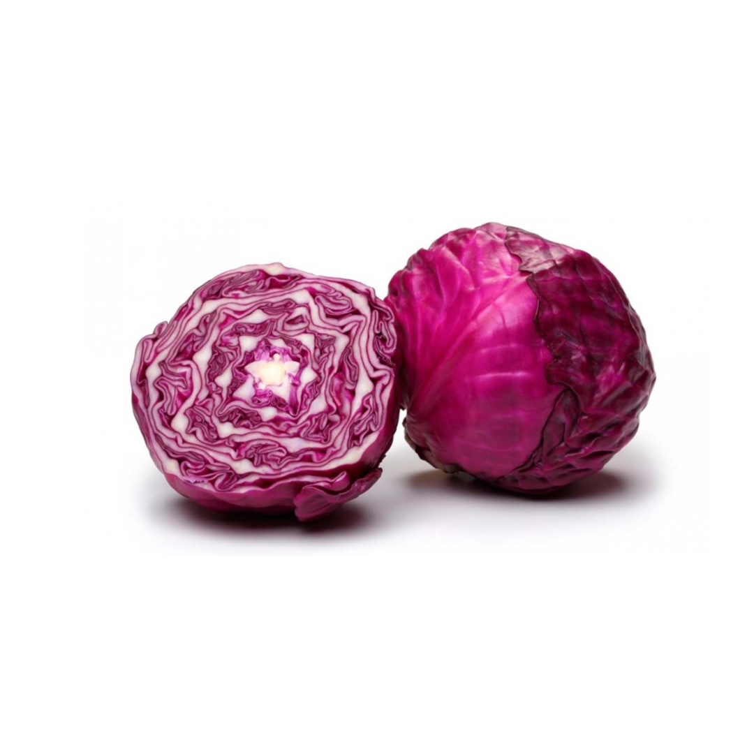 Repollo Morado
