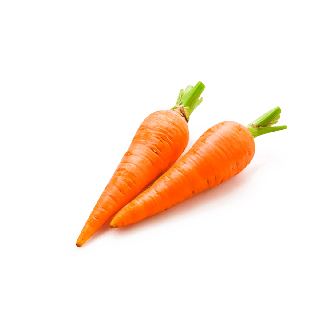 Zanahoria