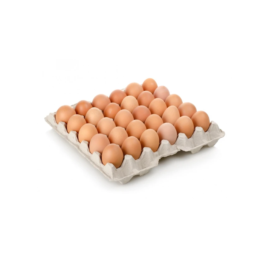 Huevos de Campo