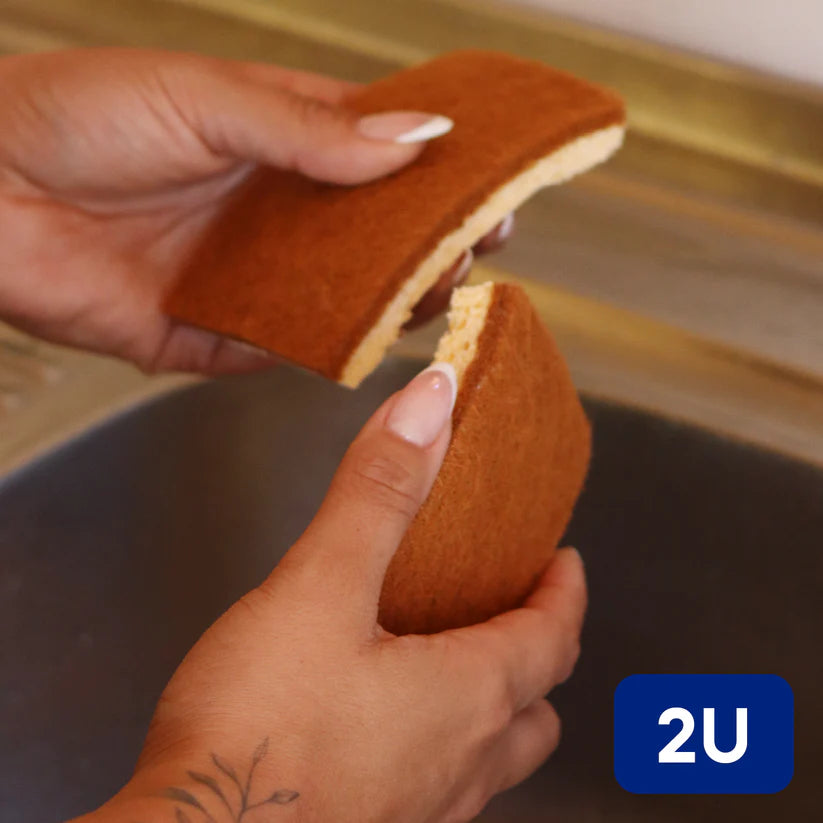 Esponjas Ecológicas de Coco