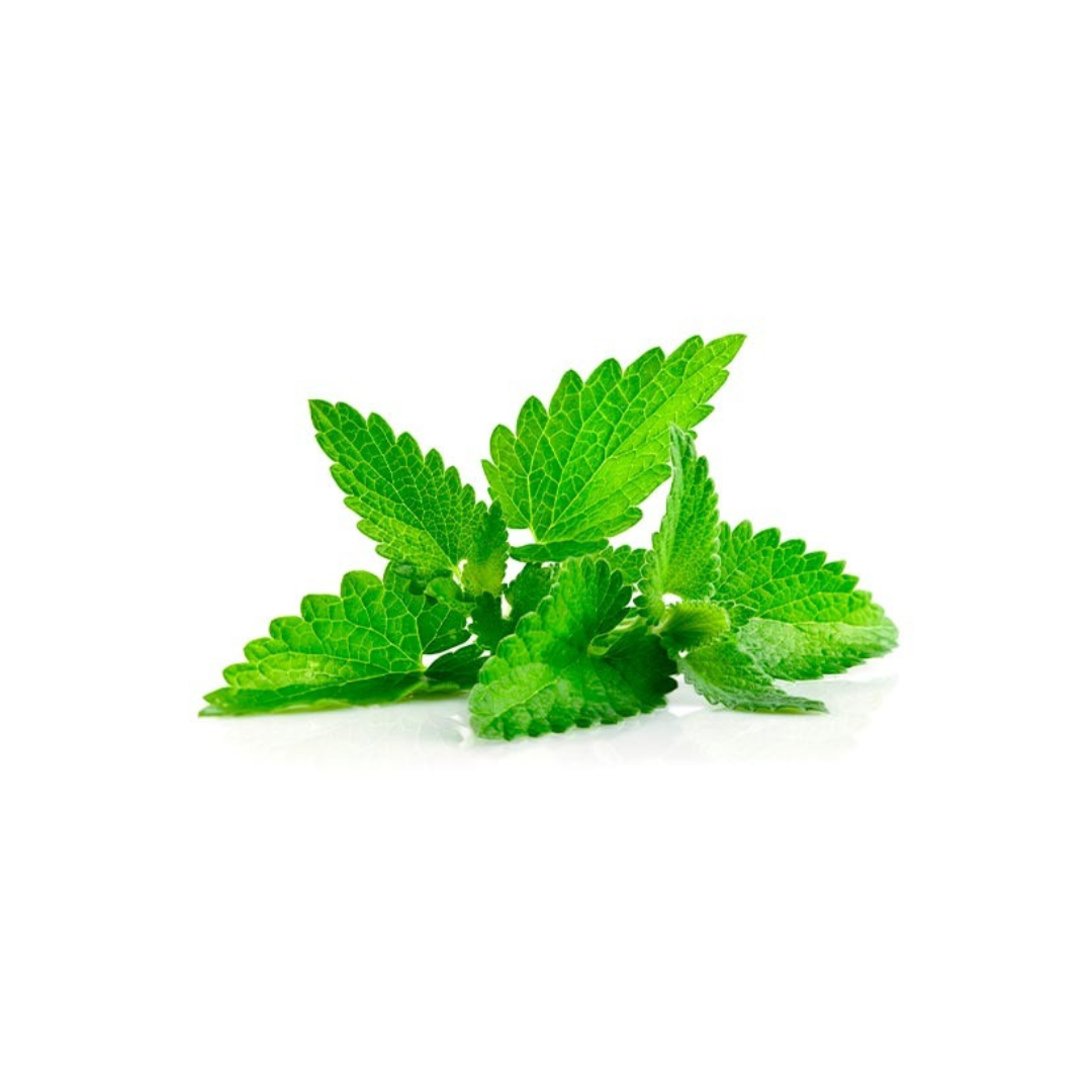 Menta